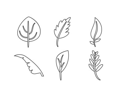 bitki ve yaprak çizgisi çizimi