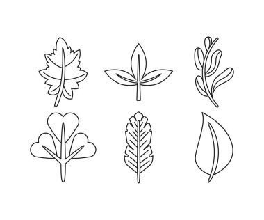 bitki ve yaprak çizgisi çizimi