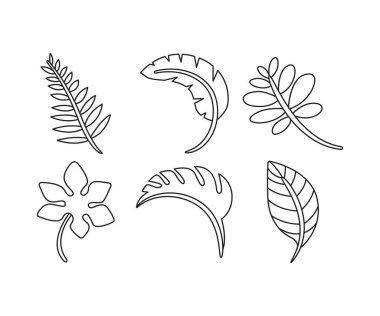 bitki ve yaprak çizgisi çizimi