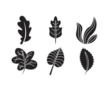 tropikal yaprak simgeleri çizgi çizimi