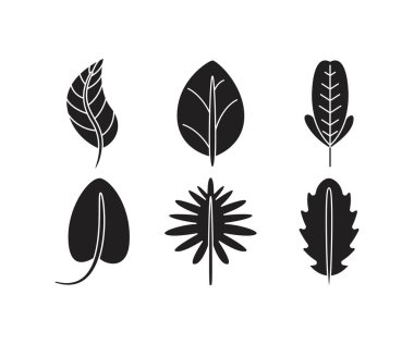 tropikal yaprak simgeleri çizgi çizimi