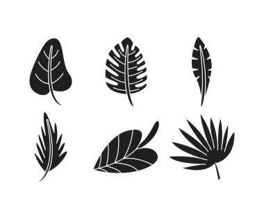 tropikal yaprak simgeleri çizgi çizimi