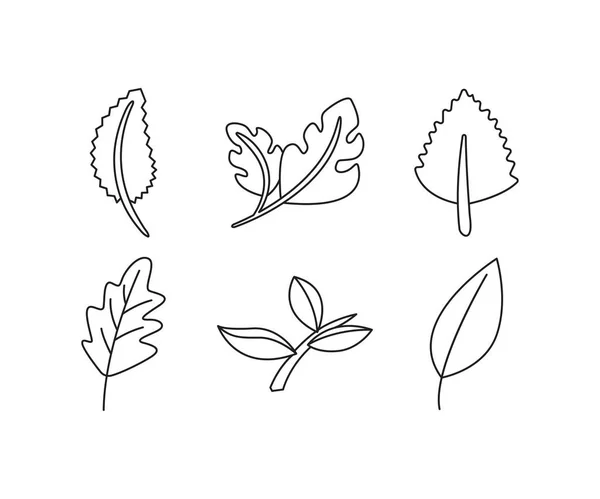 Plante Feuille Ligne Illustration Ensemble — Image vectorielle