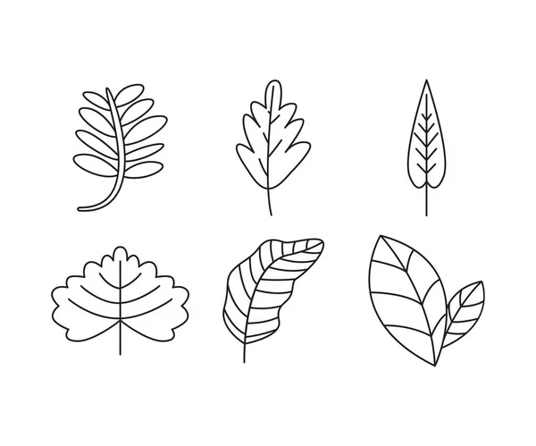 Plant Leaf Line Illustration Set — Stock Vector
