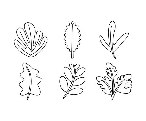 Набор Иллюстраций Растений Листьев — стоковый вектор