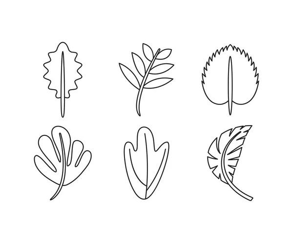 Plante Feuille Ligne Illustration Ensemble — Image vectorielle