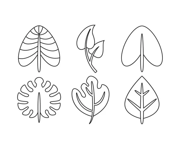 Σετ Εικονογράφησης Φυτών Και Φύλλων — Διανυσματικό Αρχείο