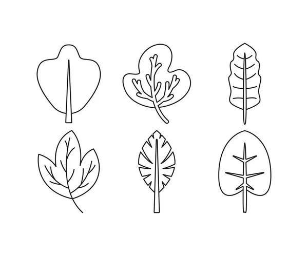 植物及叶线图集 — 图库矢量图片
