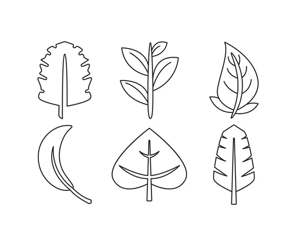 植物と葉の線のイラストセット — ストックベクタ