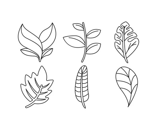 Pflanze Und Blatt Linie Illustration Set — Stockvektor