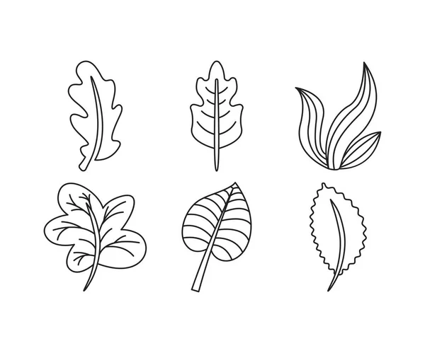 植物と葉の線のイラストセット — ストックベクタ
