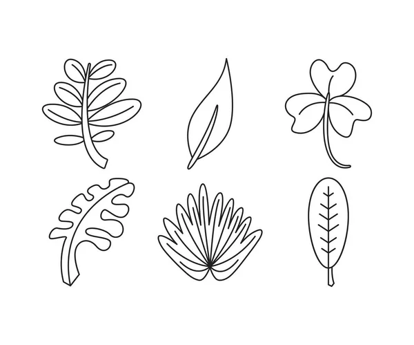 Plant Leaf Line Illustration Set — Stock Vector