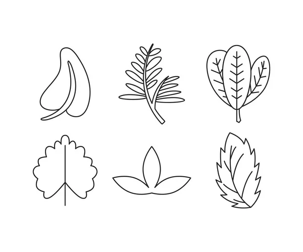 Pflanze Und Blatt Linie Illustration Set — Stockvektor