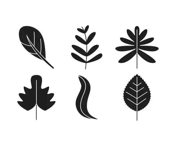 Tropické Ikony Listů Nastavit Čáru Ilustrace — Stockový vektor