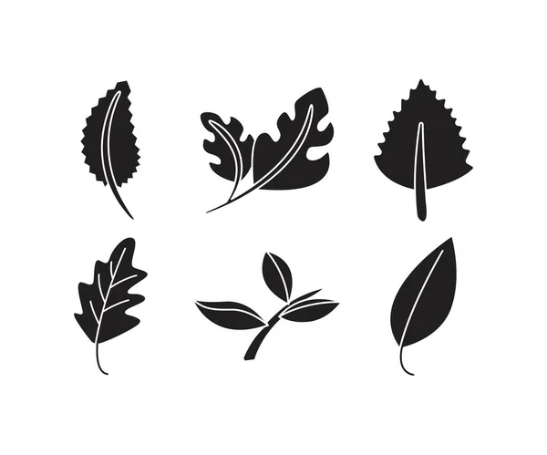 Tropical Leaf Icons Set Line Illustration — Stock Vector