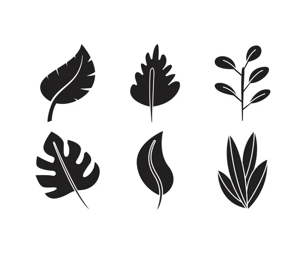 Icônes Feuille Tropicale Définir Illustration Ligne — Image vectorielle