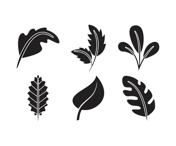 Tropische Blatt Symbole Setzen Linienillustration — Stockvektor