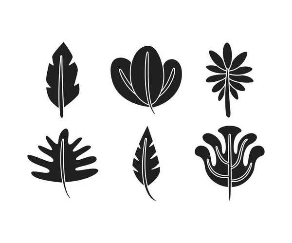 Tropische Blatt Symbole Setzen Linienillustration — Stockvektor