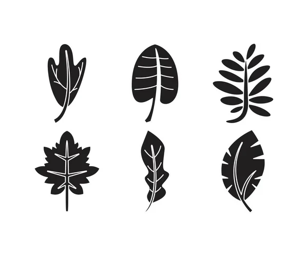 Illustrazione Linea Set Icone Foglia Tropicale — Vettoriale Stock