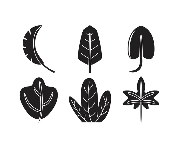 Tropical Leaf Icons Set Line Illustration — Stock Vector