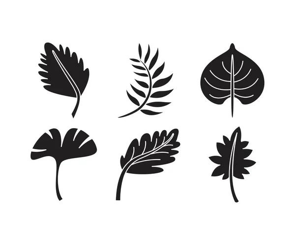 Иконки Тропическими Листьями — стоковый вектор