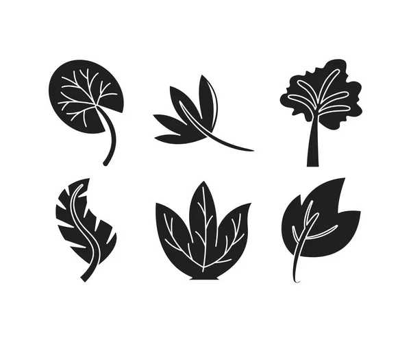 Иконки Тропическими Листьями — стоковый вектор