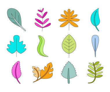 tropikal yaprak vektör çizimi