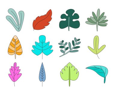 tropikal yaprak vektör çizimi