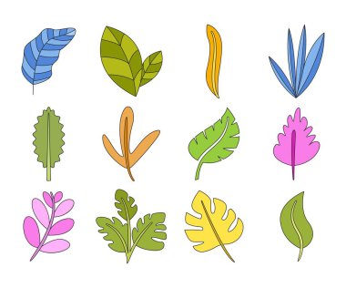 tropikal yaprak vektör çizimi