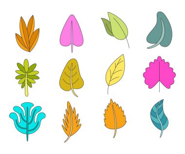 tropikal yaprak vektör çizimi