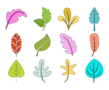 tropikal yaprak vektör çizimi