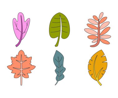 tropikal yaprak vektör çizimi