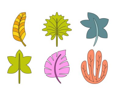 tropikal yaprak vektör çizimi