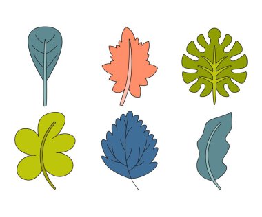 tropikal yaprak vektör çizimi