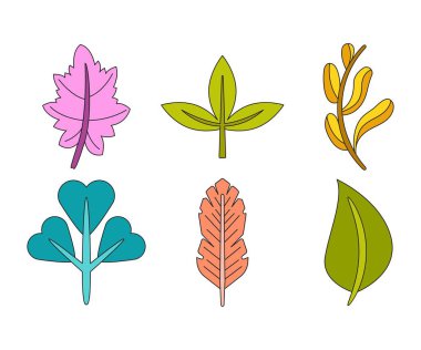 tropikal yaprak vektör çizimi