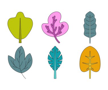 tropikal yaprak vektör çizimi