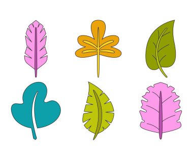 tropikal yaprak vektör çizimi