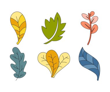 tropikal yaprak vektör çizimi