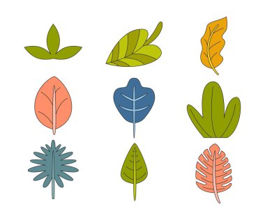 tropikal yaprak vektör çizimi