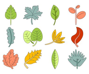 tropikal yaprak vektör çizimi