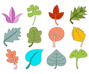 tropikal yaprak vektör çizimi