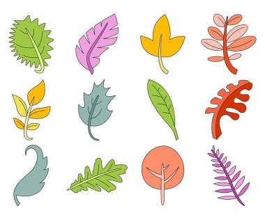 tropikal yaprak vektör çizimi