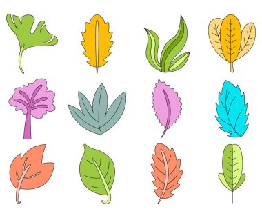 tropikal yaprak vektör çizimi