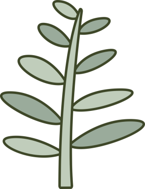 Dekoratif Şubeler ve Yapraklar İllüstrasyonu