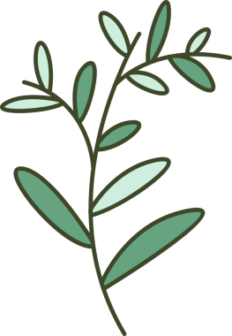 Dekoratif Şubeler ve Yapraklar İllüstrasyonu