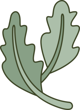 Foliage and Natural Leaves Illustration