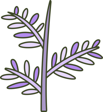 Foliage and Natural Leaves Illustration