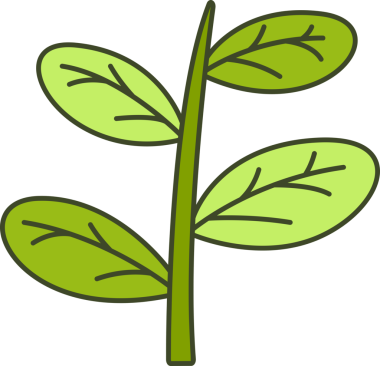 Foliage and Natural Leaves Illustration