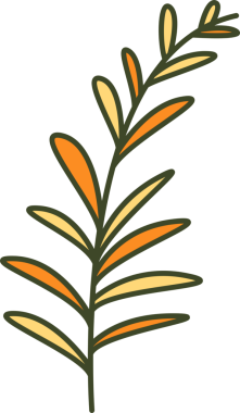 Foliage and Natural Leaves Illustration