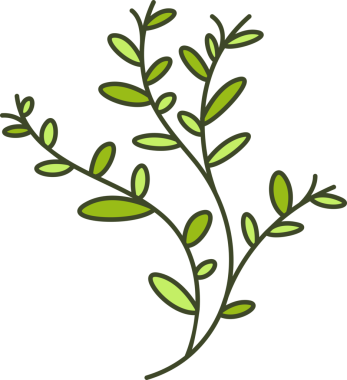 Foliage and Natural Leaves Illustration